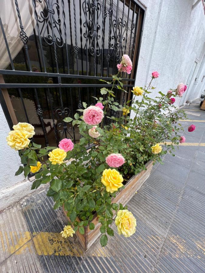 Hotel San Enrique Salamanca Dış mekan fotoğraf